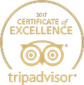 Exclusive experiences for guests